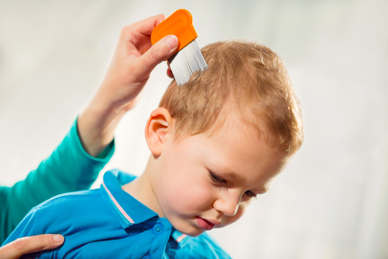 My Kid Has Lice!  Now What?