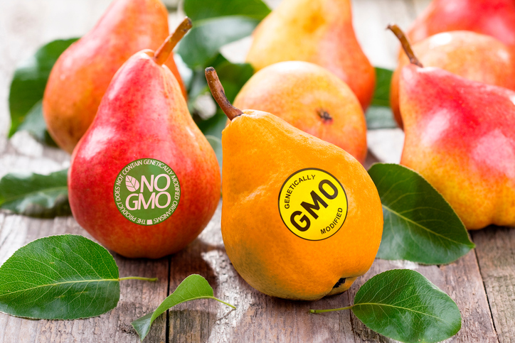 GMO Foods And Children: Potential Health Risks You Need To Know