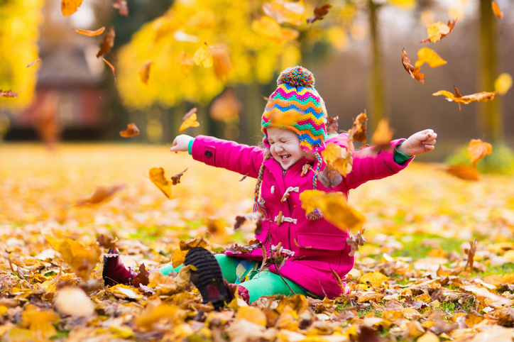 35 Fun Fall Activities For The Whole Family Beenke